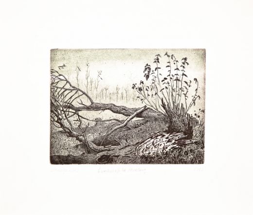 Landschaft bei Merseburg, 2015, Martin Voigt