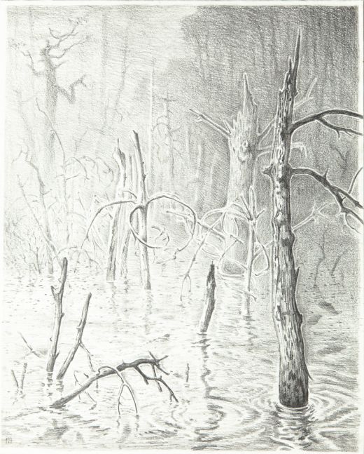 Moor, 2017, Martin Voigt