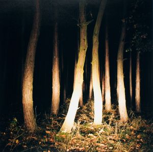 Lichtung II, 2004, Göran Gnaudschun