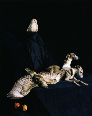 heros (Serie »Nature Morte«), 2005, Nadin Maria Rüfenacht