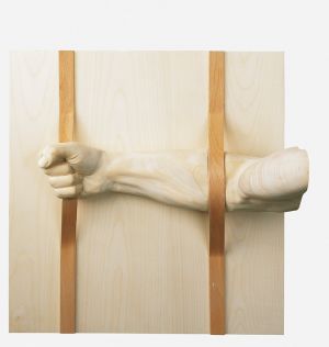 Coated arm, 2004, Sven Braun